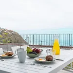 Bali فيلة